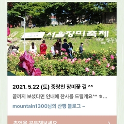 피드에 업로드 된 이미지