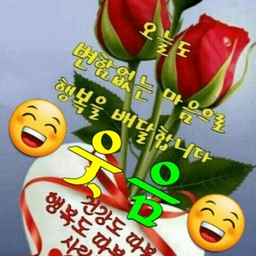 피드에 업로드 된 이미지