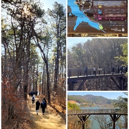 피드에 업로드 된 이미지