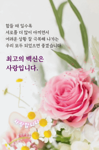 피드에 업로드 된 이미지