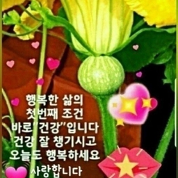 피드에 업로드 된 이미지