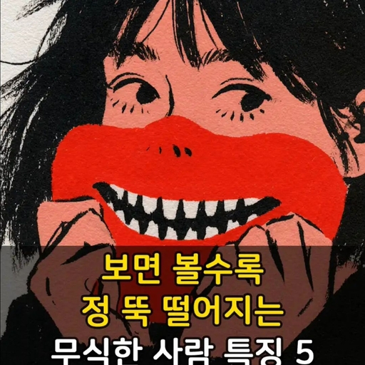 피드 이미지