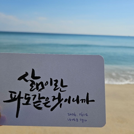 피드 이미지