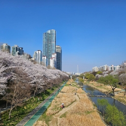 피드에 업로드 된 이미지