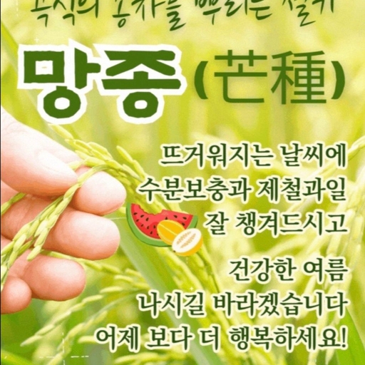 피드 이미지