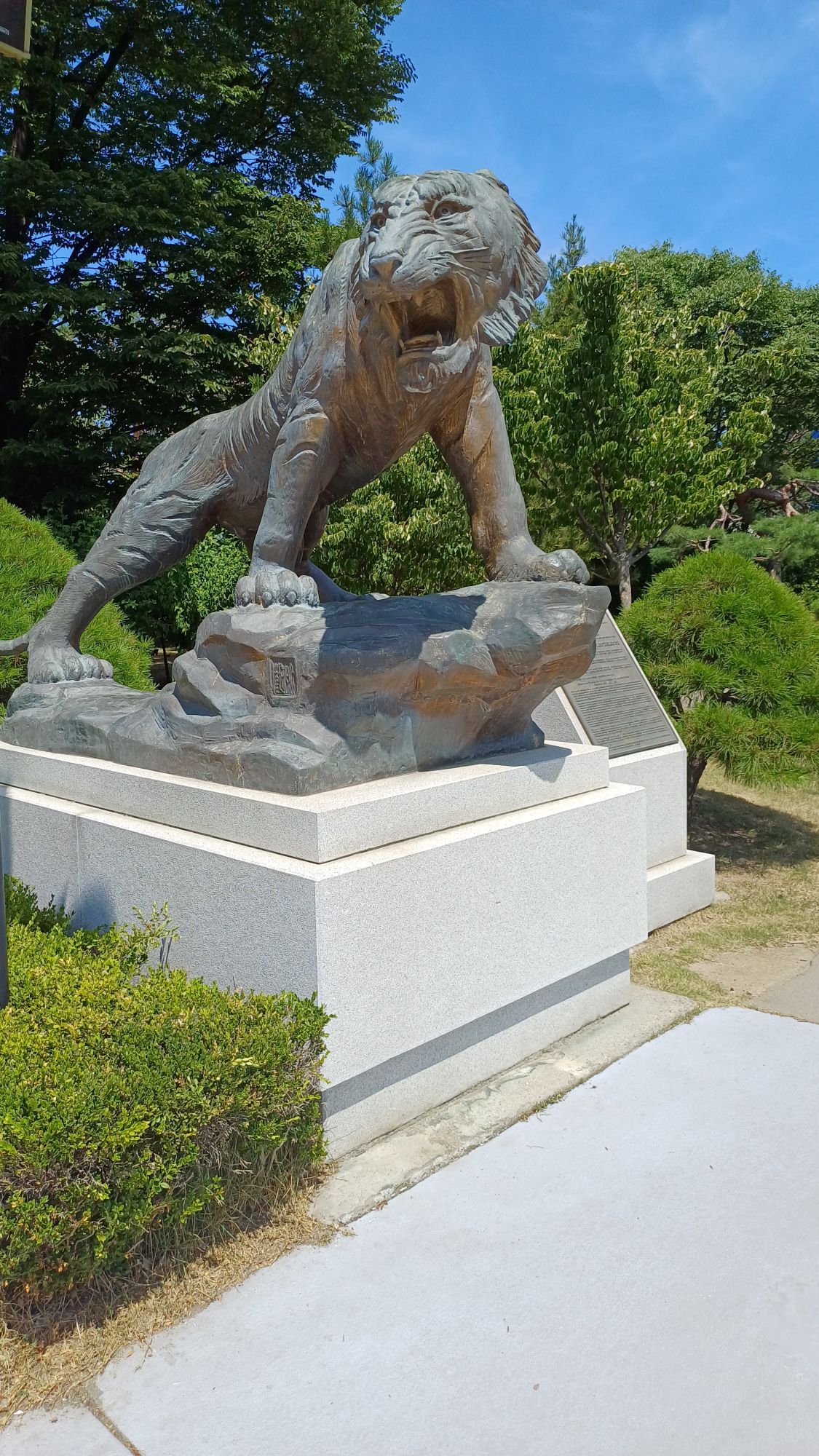 피드 이미지