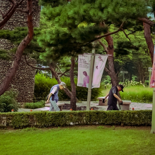 피드 이미지
