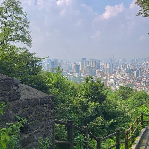 피드 이미지