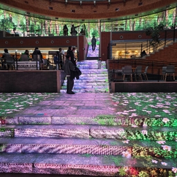 피드에 업로드 된 이미지