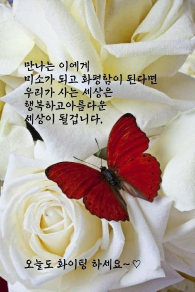 피드에 업로드 된 이미지