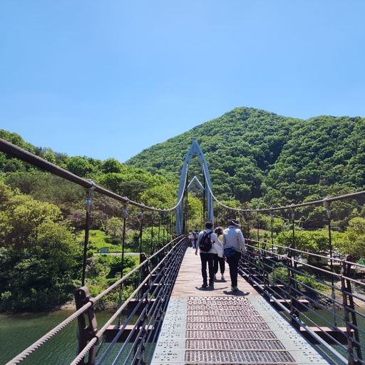 피드 이미지