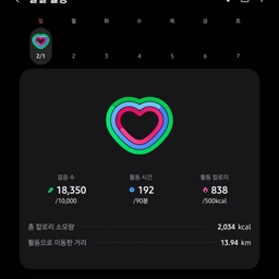 피드에 업로드 된 이미지