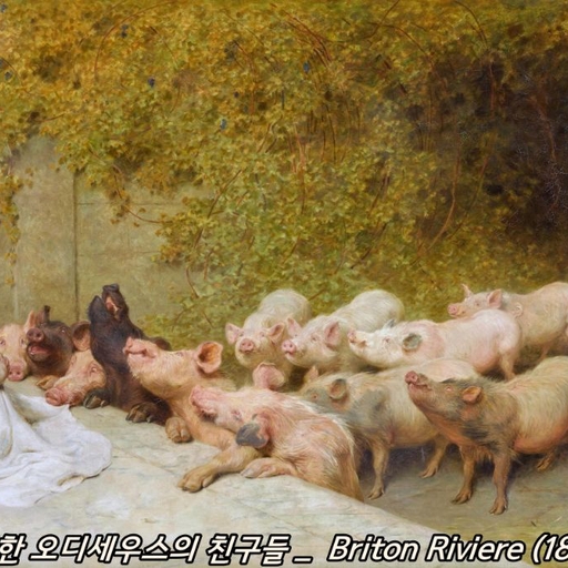 피드 이미지