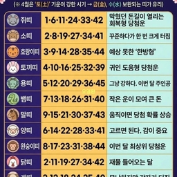 피드에 업로드 된 이미지