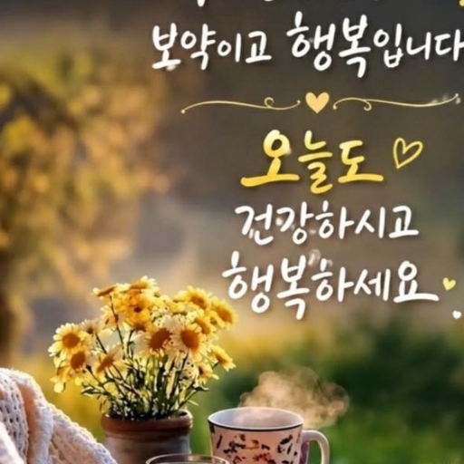 피드 이미지