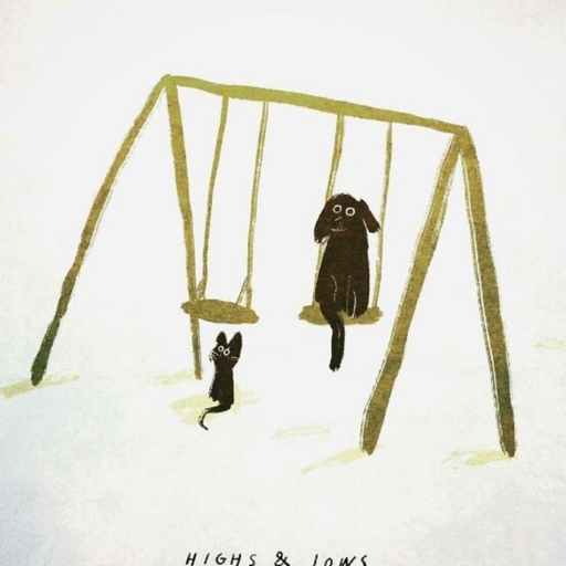 피드 이미지