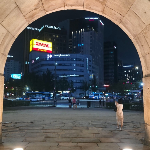 피드 이미지