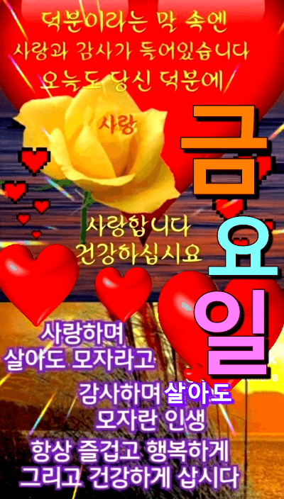 피드에 업로드 된 이미지