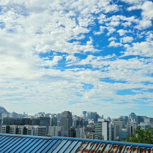 피드 이미지