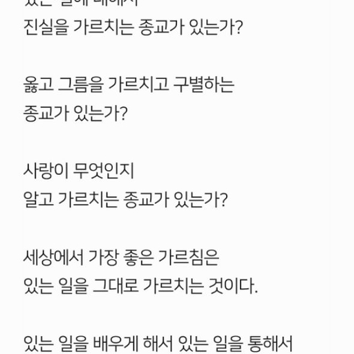 피드 이미지