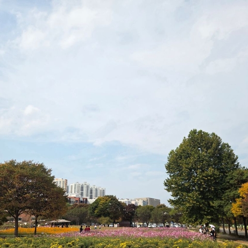 피드 이미지