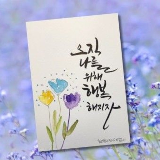 피드 이미지