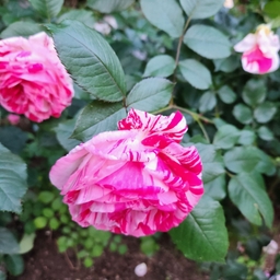 피드에 업로드 된 이미지