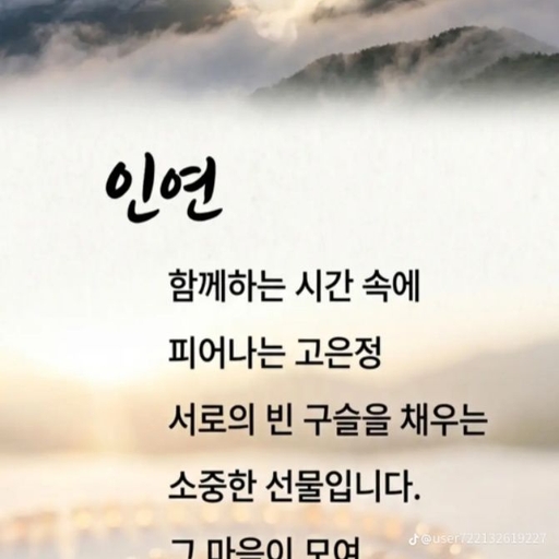 피드 이미지