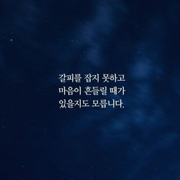 피드에 업로드 된 이미지