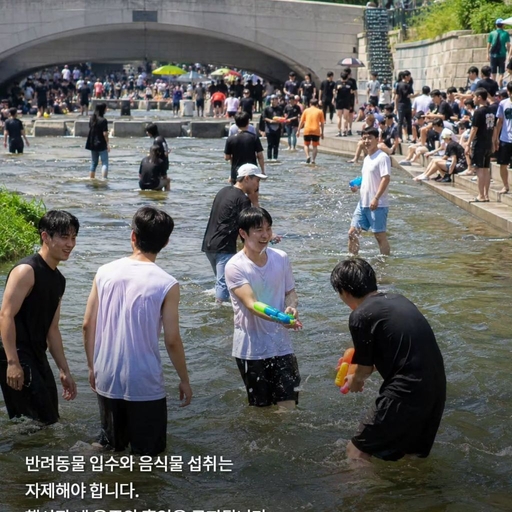 피드 이미지