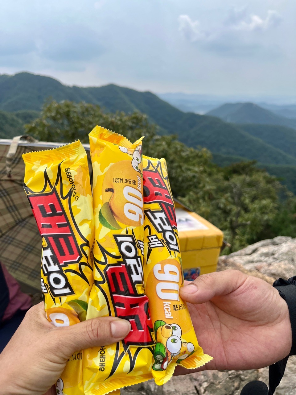 피드 이미지