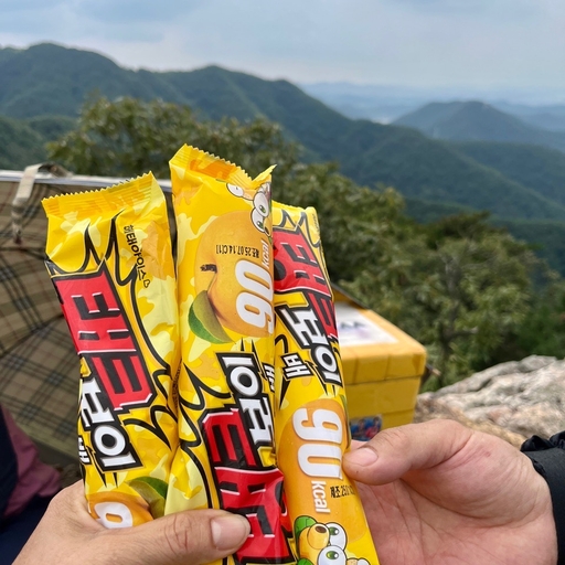 피드 이미지