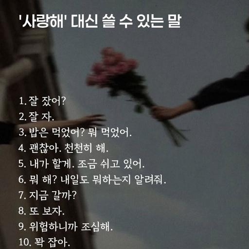 피드 이미지