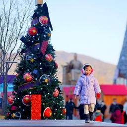 피드에 업로드 된 이미지