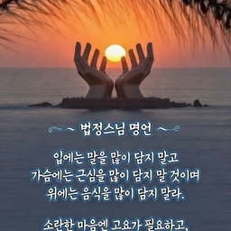 피드에 업로드 된 이미지