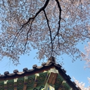 멤버 프로필
