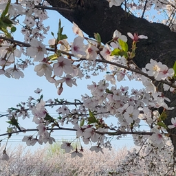 피드에 업로드 된 이미지