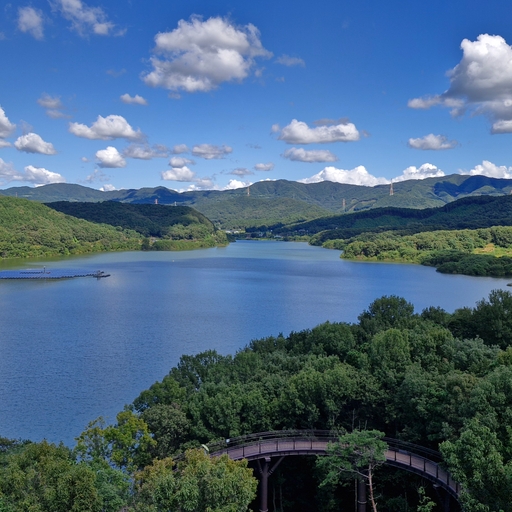 모임 대표 이미지