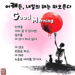 피드에 업로드 된 이미지