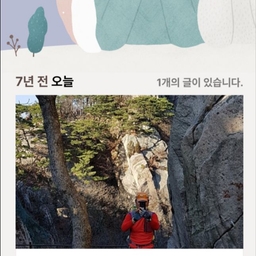 피드에 업로드 된 이미지