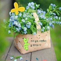 피드에 업로드 된 이미지