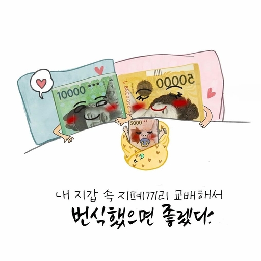 피드 이미지