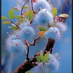 피드에 업로드 된 이미지