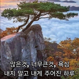 피드에 업로드 된 이미지