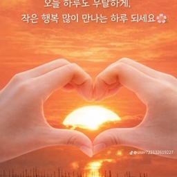 피드에 업로드 된 이미지