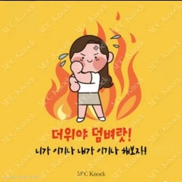 피드에 업로드 된 이미지