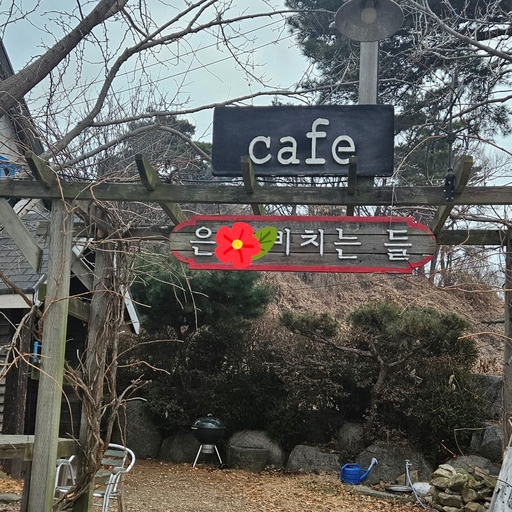 피드 이미지