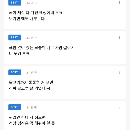 피드 이미지