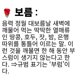 피드에 업로드 된 이미지