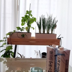 피드에 업로드 된 이미지